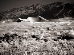 Death Valley Dunes